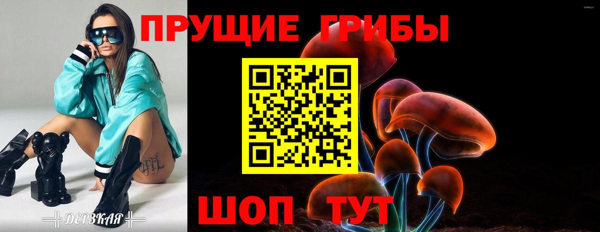 Галлюциногенные грибы Cubensis  Псилоцибиновые грибы прущие грибы  Шелехов  Вход с VPN 